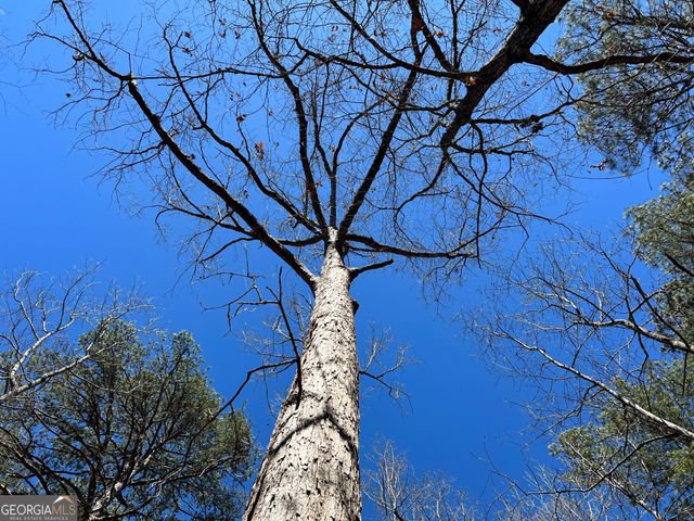 TRACT B1 Hulmes Chapel Road, Elberton, GA 30635