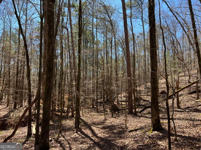 TRACT B1 Hulmes Chapel Road, Elberton, GA 30635