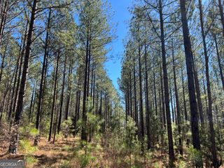 TRACT B1 Hulmes Chapel Road, Elberton, GA 30635