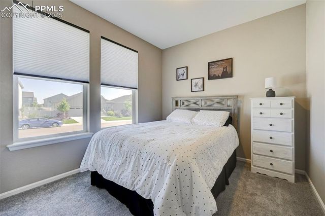 6228 Dapplegray Street, Parker, CO 80134