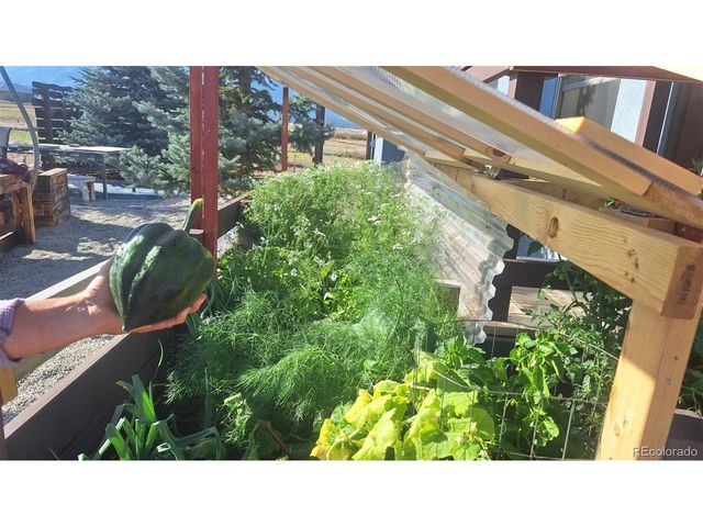 12593 Ce Ce Ln, Nathrop, CO 81236