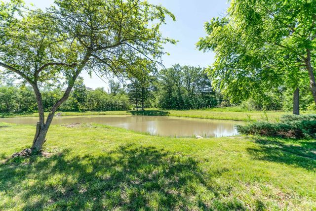 18 Alexandra Drive, Mettawa, IL 60048