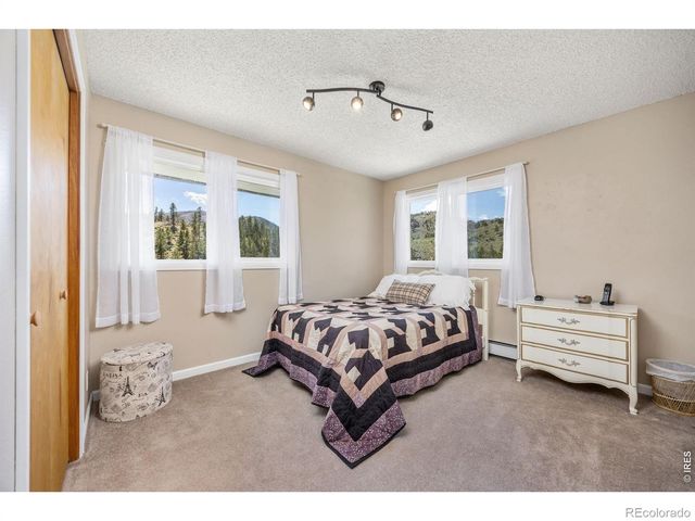 20232 Buckhorn Road, Bellvue, CO 80512