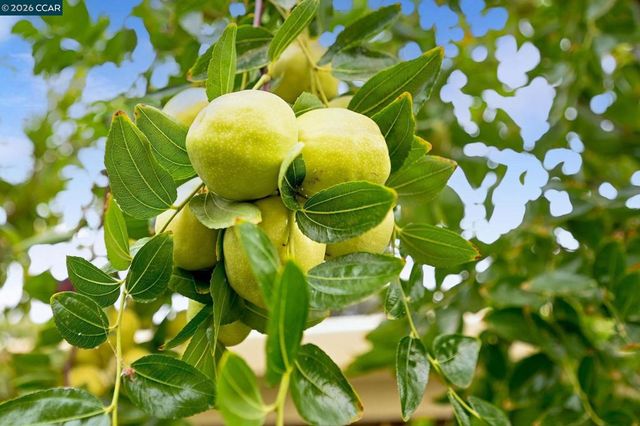 1577 1577 Chianti Ln, Brentwood, CA 94513