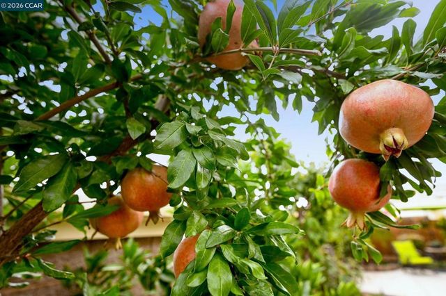 1577 1577 Chianti Ln, Brentwood, CA 94513