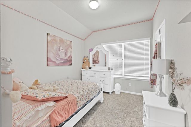 16223 Neff Park Drive, Hockley, TX 77447