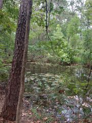 130 County Road 3291, Cleveland, TX 77327