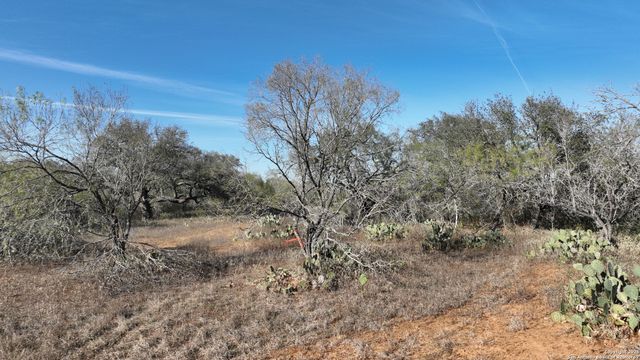 001 CR 307, Jourdanton, TX 78026