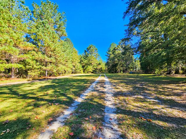 2869 Turkey Cut Road, Smoaks, SC 29481