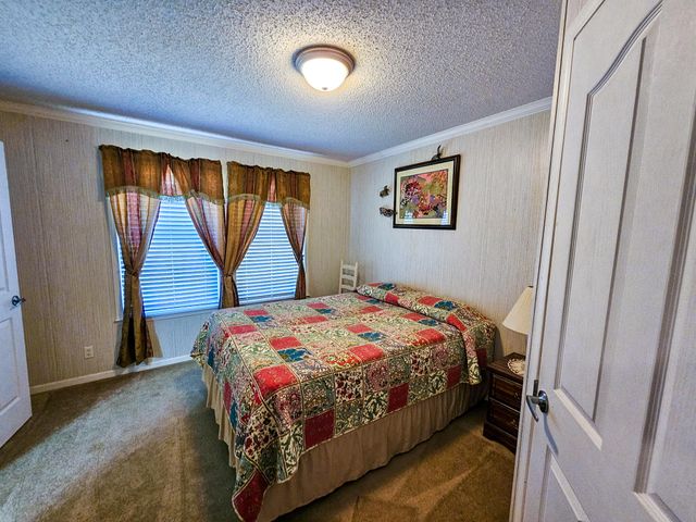 2869 Turkey Cut Road, Smoaks, SC 29481