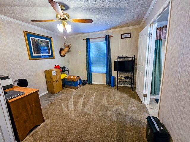 2869 Turkey Cut Road, Smoaks, SC 29481
