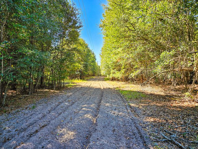 2869 Turkey Cut Road, Smoaks, SC 29481