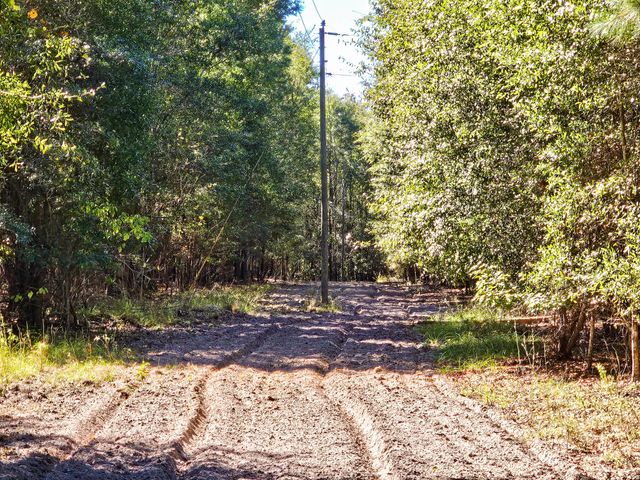 2869 Turkey Cut Road, Smoaks, SC 29481