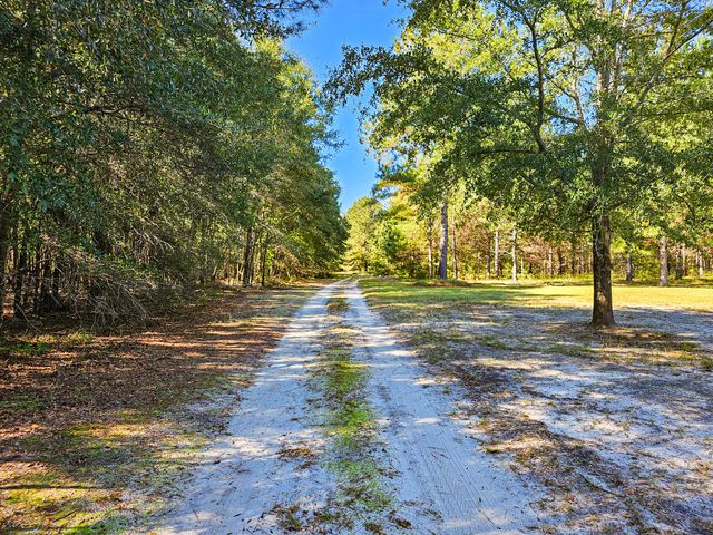 2869 Turkey Cut Road, Smoaks, SC 29481