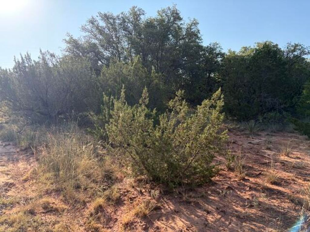 Image 20 of property listing at 2400 N Hwy 277, Blackwell, TX 79506