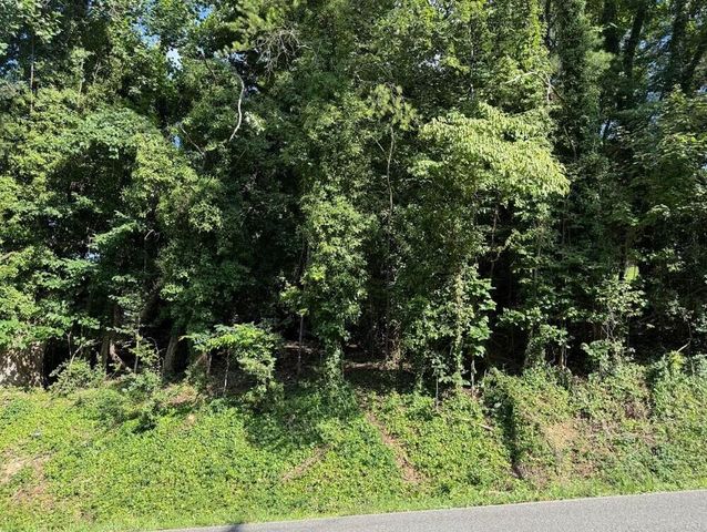 Lot 89 Edgewater Avenue, Dayton, TN 37321
