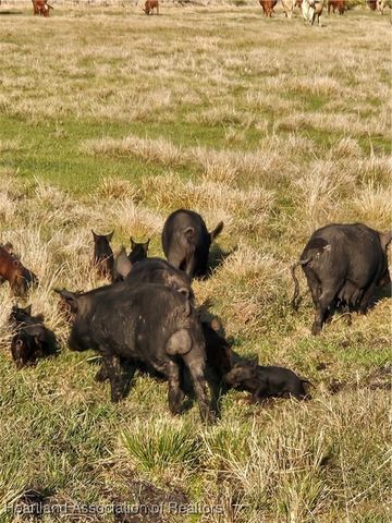 13 Magness Road, Venus, FL 33960