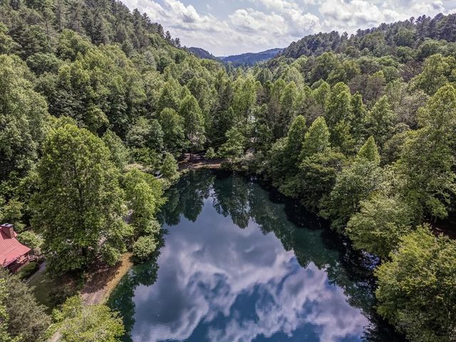 64 Bear Lake Drive, Blue Ridge, GA 30513