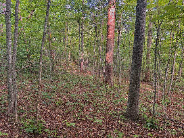 178 Greasy Creek Road, West Liberty, KY 41472