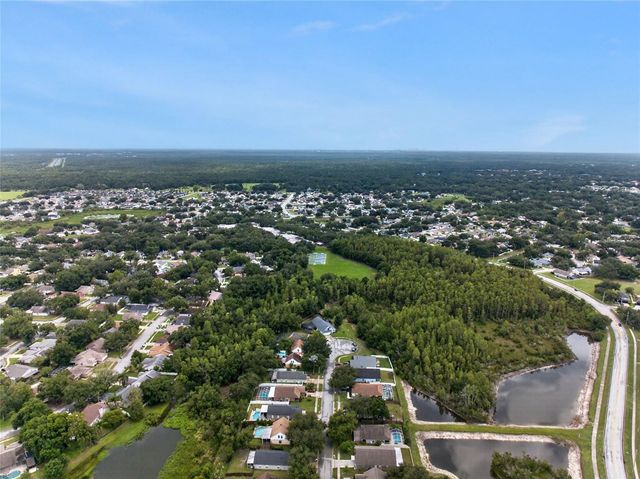 24331 CROSSCUT ROAD, Lutz, FL 33559