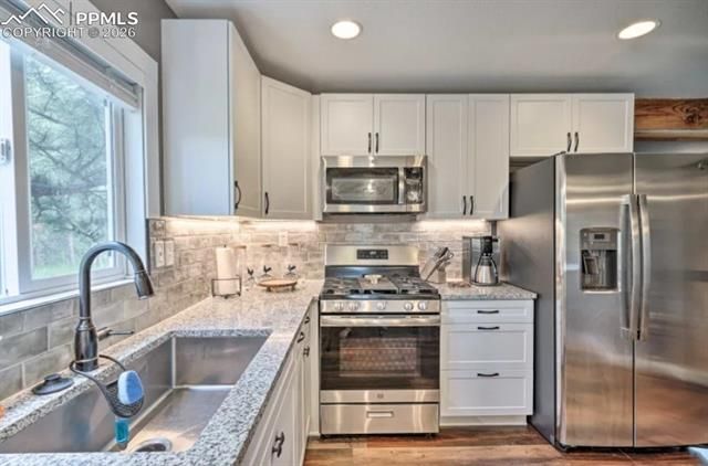 255 Midnight Lane, Florissant, CO 80816