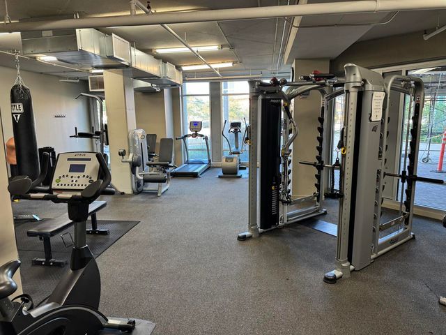 437 W Division Street 311, Chicago, IL 60610