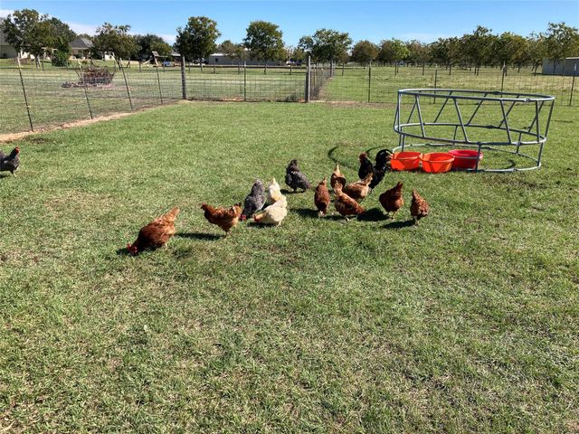 26831 Stockdick School Road, Katy, TX 77493
