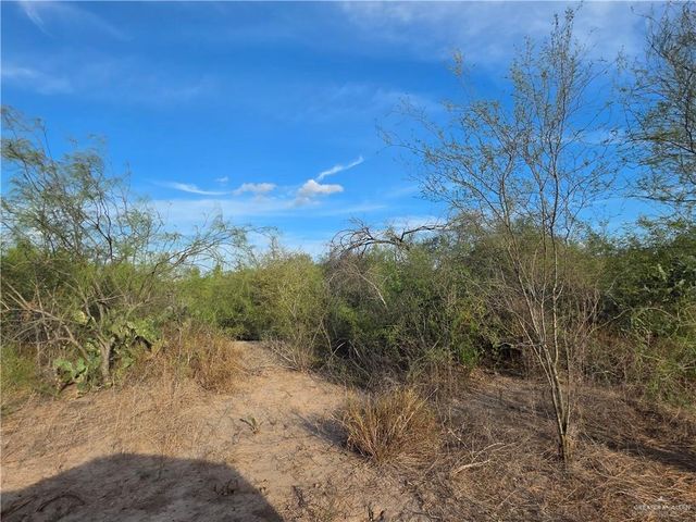 0 E St. Jude Avenue, Alton, TX 78573