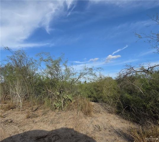 0 E St. Jude Avenue, Alton, TX 78573