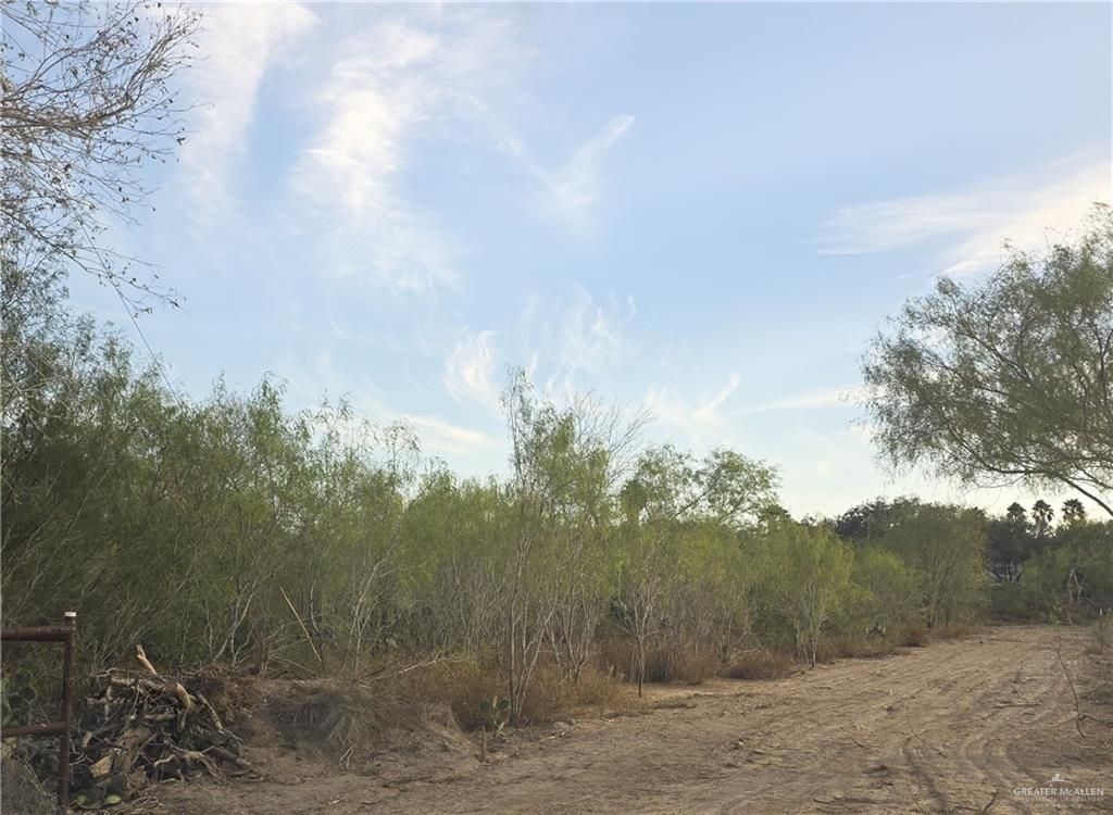 0 E St. Jude Avenue, Alton, TX 78573