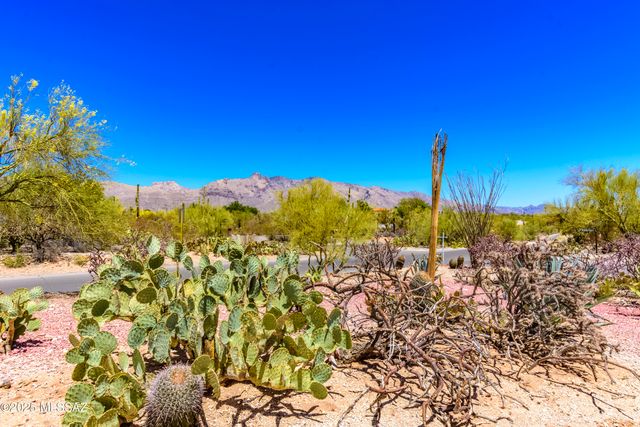 1300 E Vía Entrada, Tucson, AZ 85718