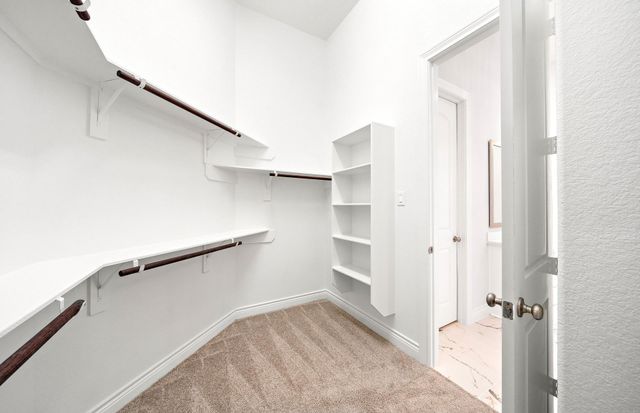 38692 Night Brood Court, Magnolia, TX 77354