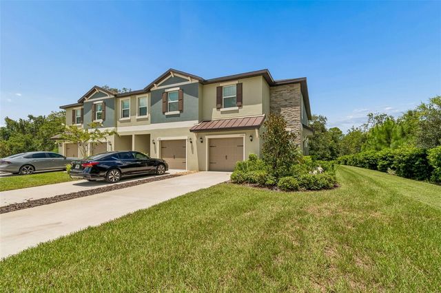 11166 WISHING CLOUD ROAD, Land O Lakes, FL 34638