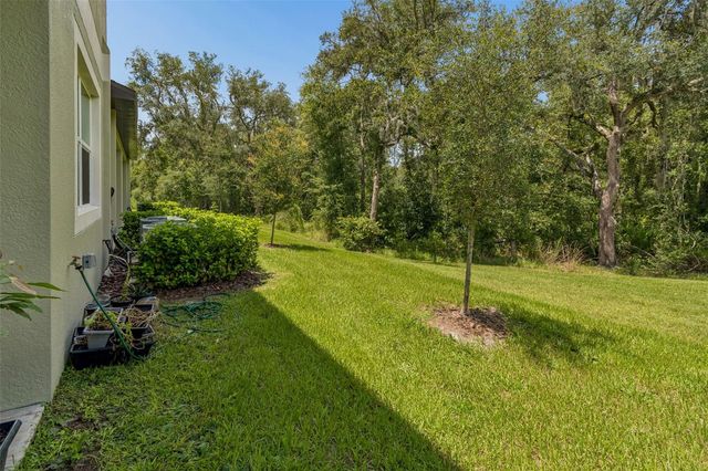 11166 WISHING CLOUD ROAD, Land O Lakes, FL 34638