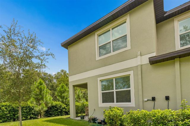 11166 WISHING CLOUD ROAD, Land O Lakes, FL 34638