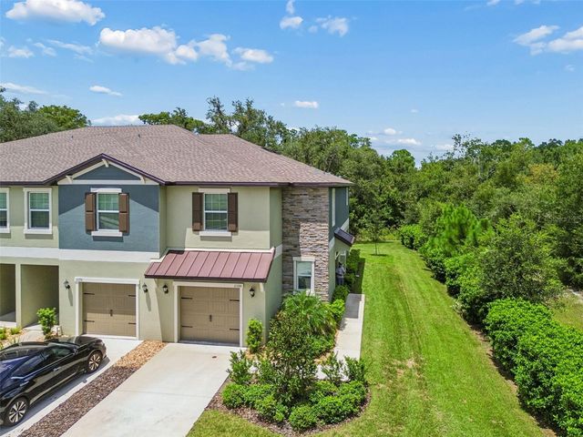 11166 WISHING CLOUD ROAD, Land O Lakes, FL 34638
