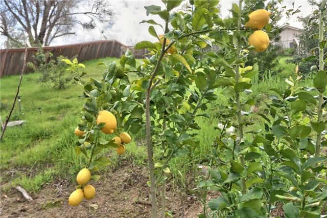 45303 Esmerado Court, Temecula, CA 92592