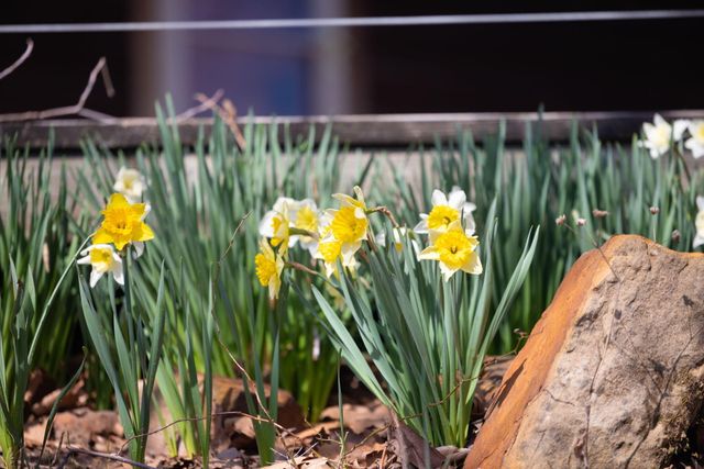 389 N Dade 185, Greenfield, MO 65661