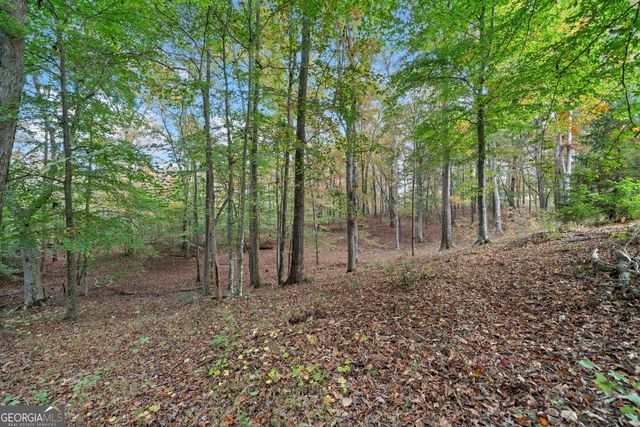 0 Ammons Drive, Waleska, GA 30183