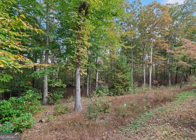0 Ammons Drive, Waleska, GA 30183