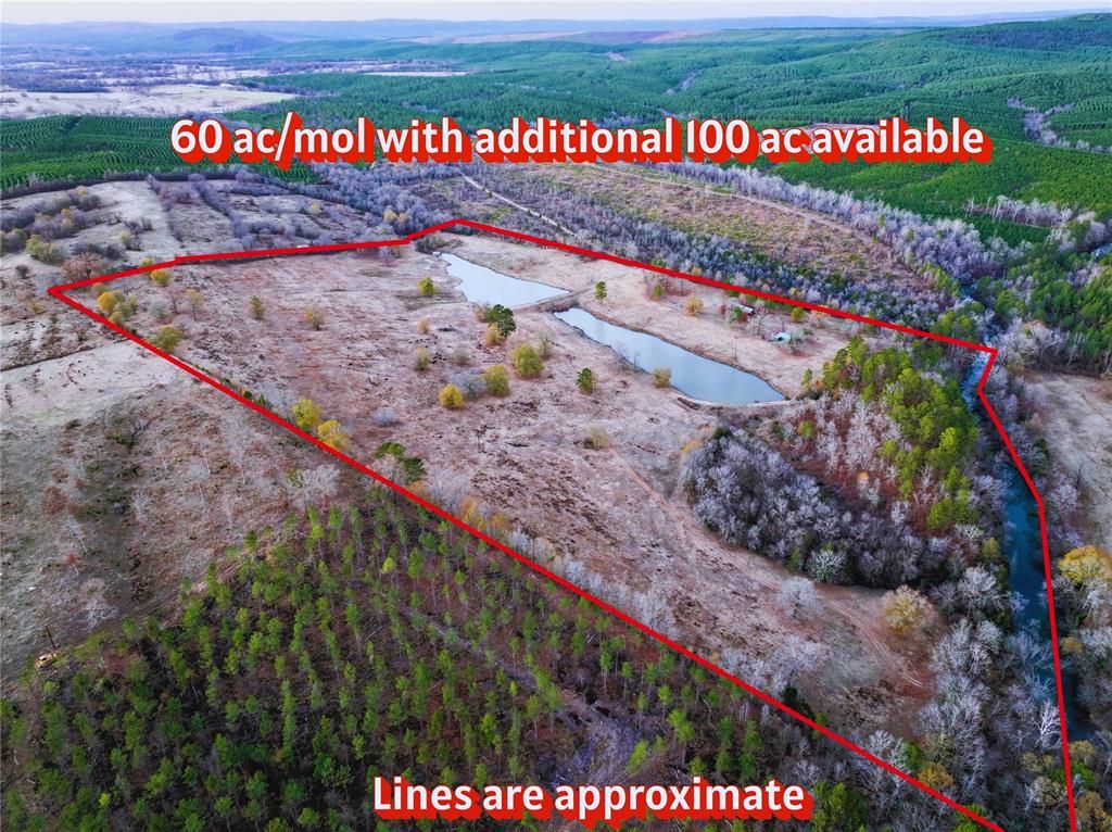 Image 1 of property listing at 448 Wyr 56607 Road, Battiest, OK 74728