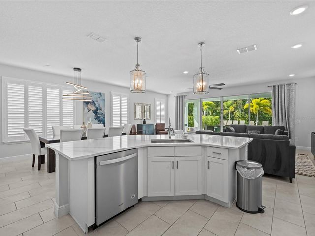 832 DESERT MOUNTAIN COURT, Reunion, FL 34747