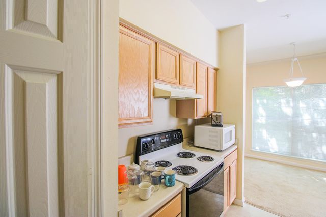 700 Daniel Ellis Drive 5203, Charleston, SC 29412