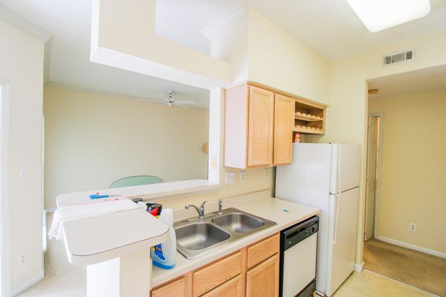 700 Daniel Ellis Drive 5203, Charleston, SC 29412