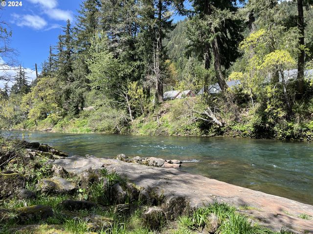 46791 WINFREY Rd, Westfir, OR 97492