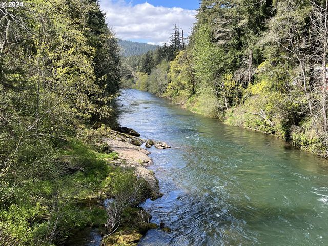46791 WINFREY Rd, Westfir, OR 97492