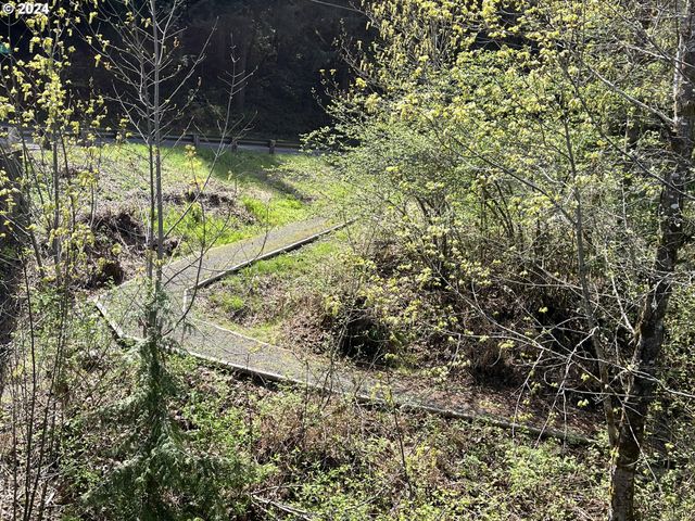 46791 WINFREY Rd, Westfir, OR 97492