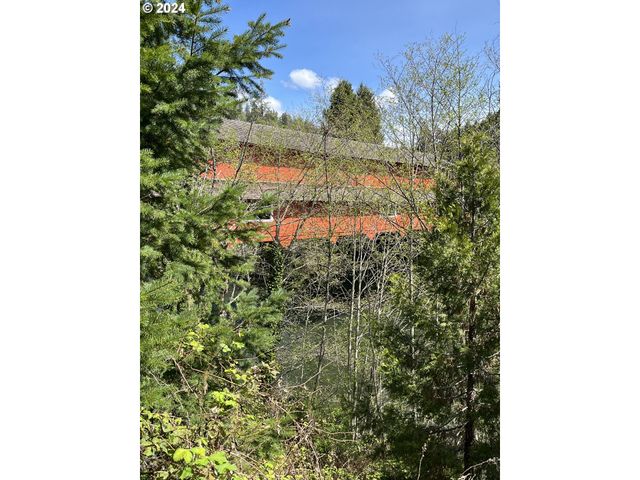 46791 WINFREY Rd, Westfir, OR 97492
