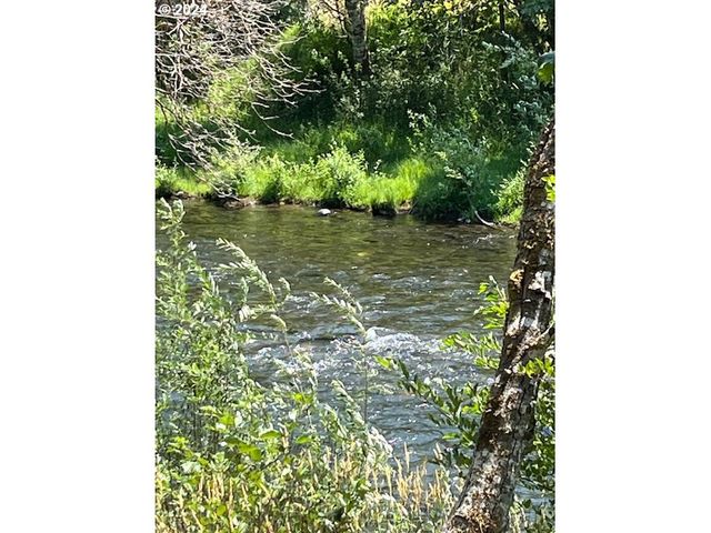 46791 WINFREY Rd, Westfir, OR 97492