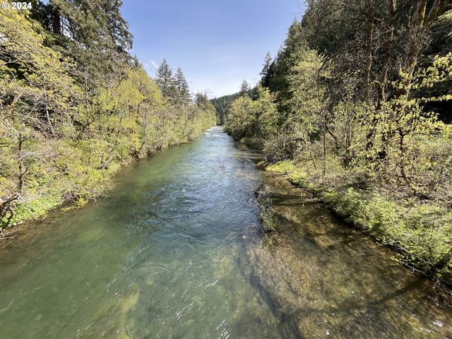 46791 WINFREY Rd, Westfir, OR 97492
